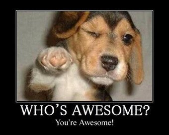 whos-awesome-youre-awesome